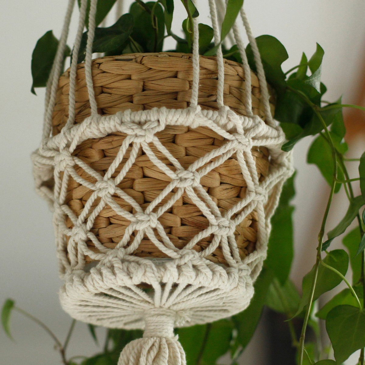Macramé Plant Hanger | Small