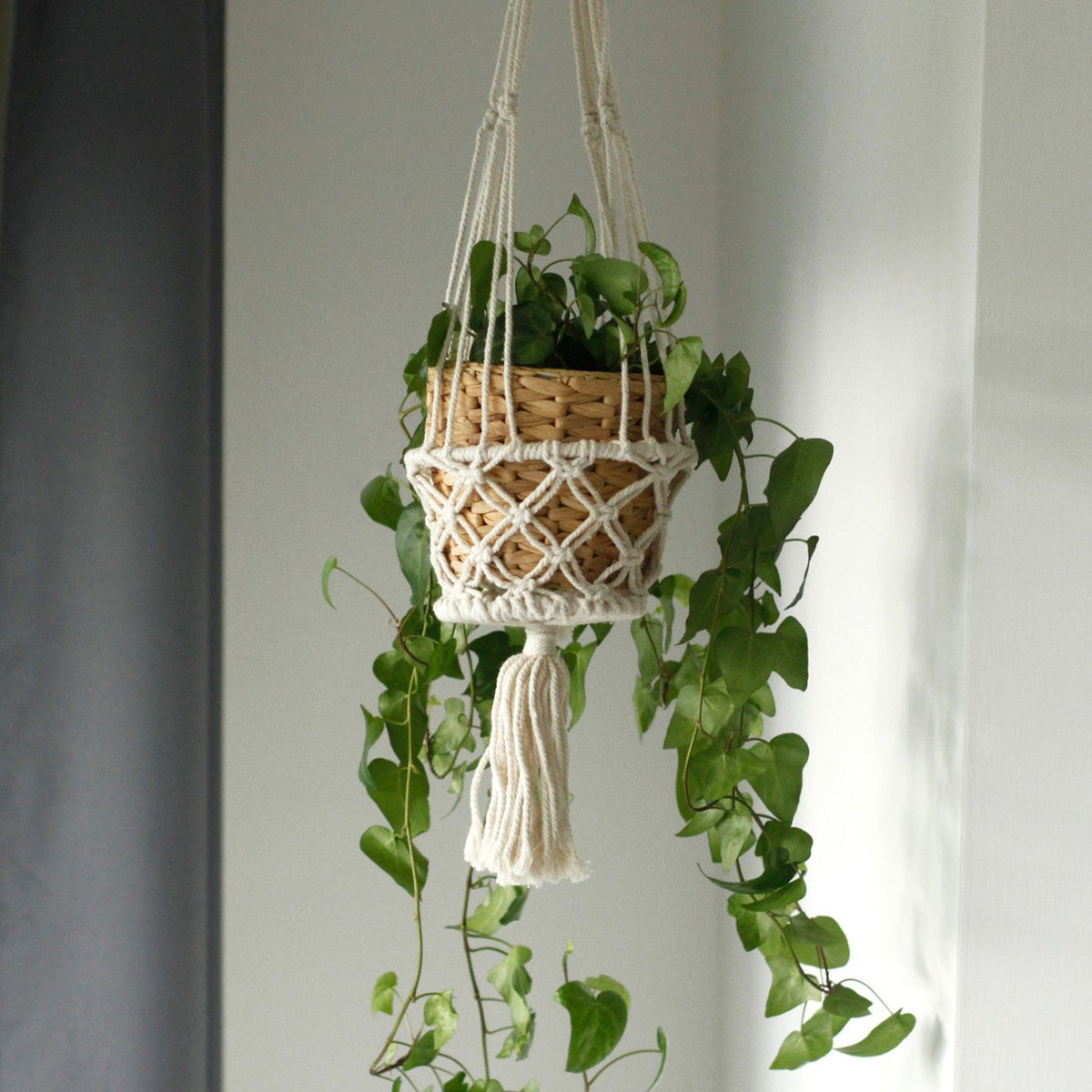 Macramé Plant Hanger | Small