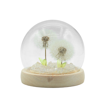Floral Glow Dome | Dandelions