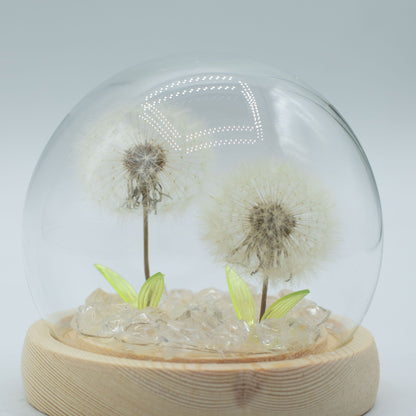 Floral Glow Dome | Dandelions
