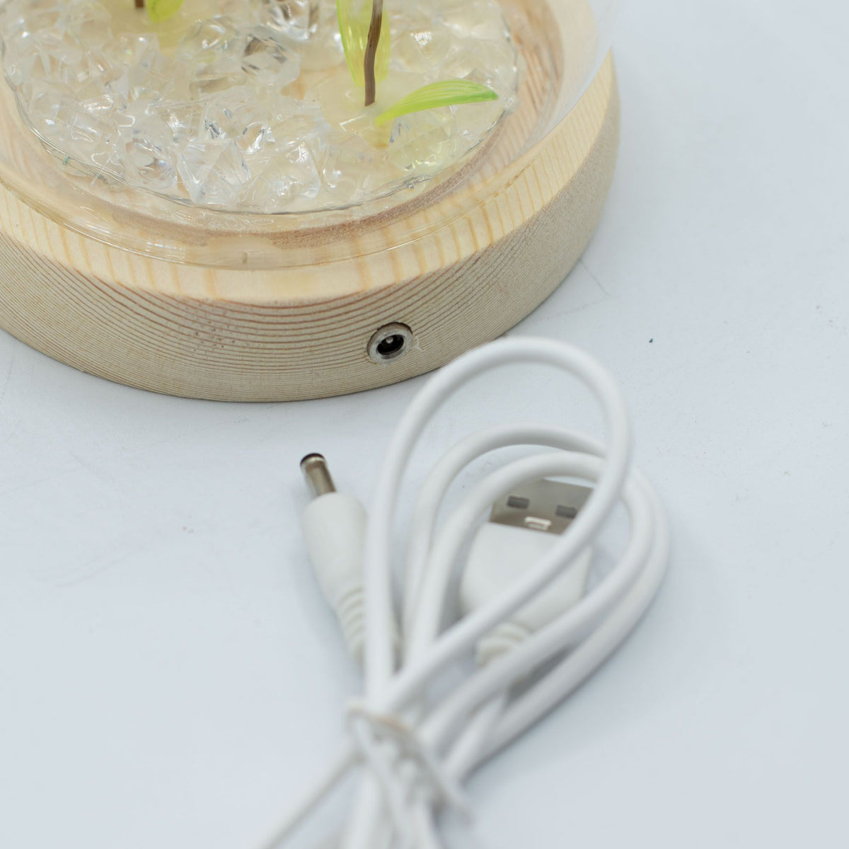 Floral Glow Dome | Dandelions