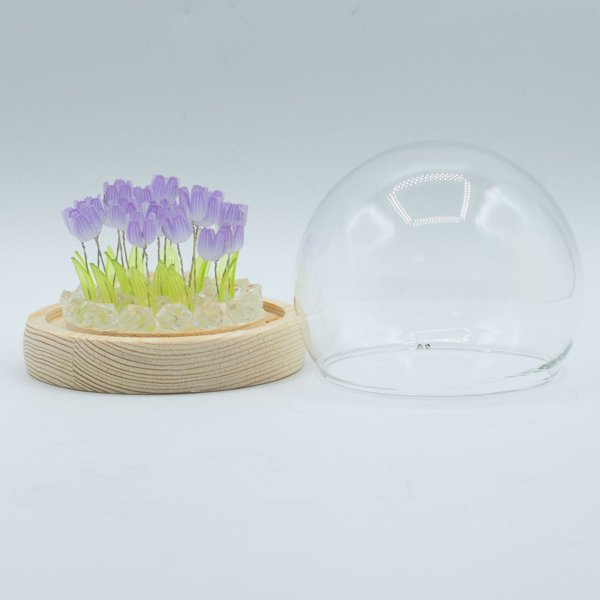 Floral Glow Dome | Tulips
