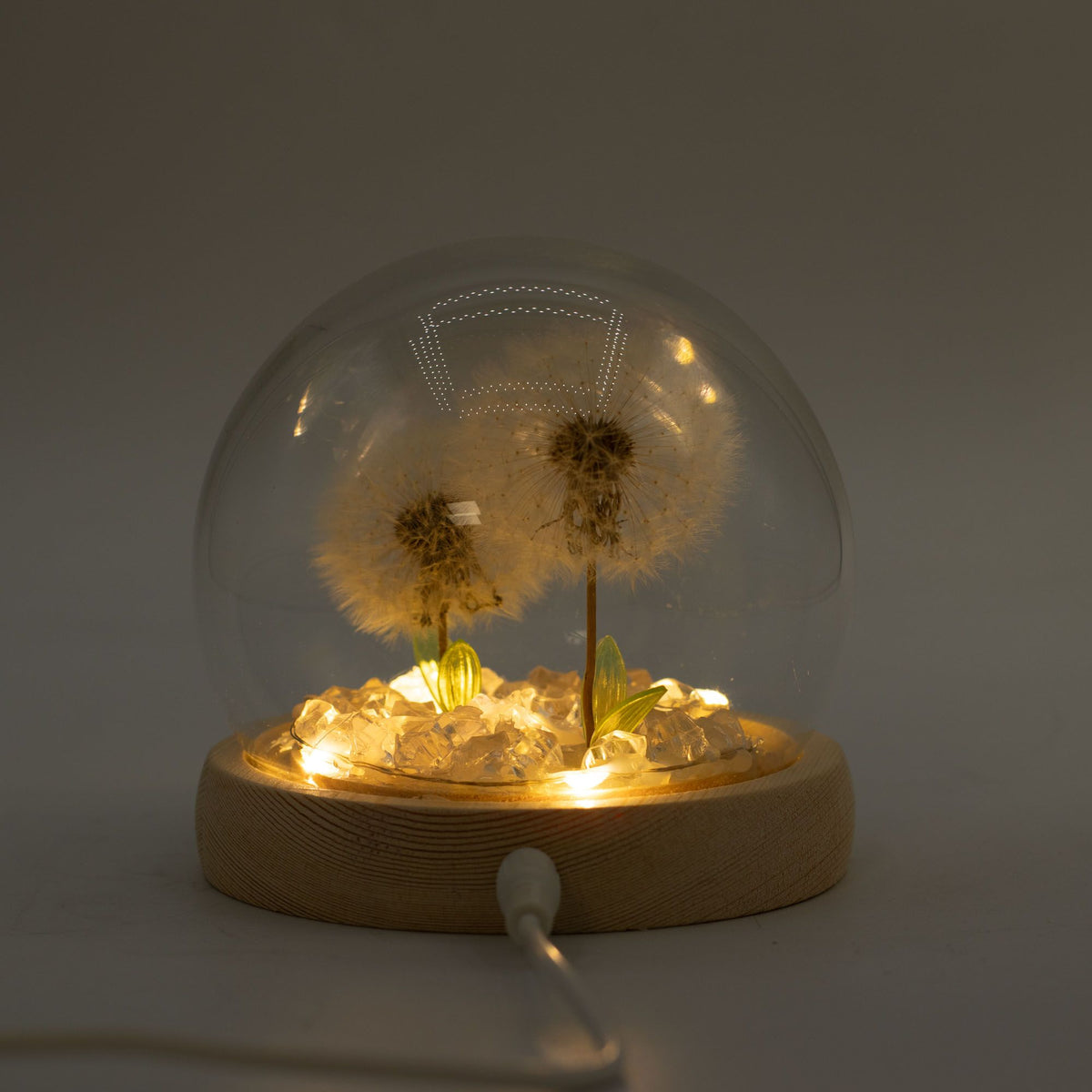 Floral Glow Dome | Dandelions