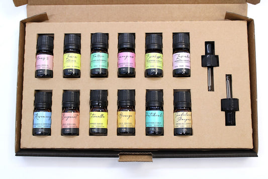The Essential Twelve